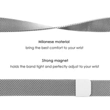 Load image into Gallery viewer, Fitbit Inspire Strap Milanese Loop (Silver) - Silver
