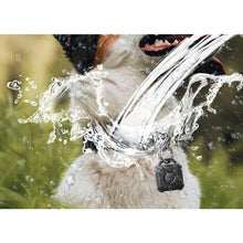 Load image into Gallery viewer, Waterproof Apple Air Tag Holder