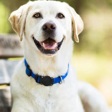 Load image into Gallery viewer, Waterproof Apple Air Tag Holder for Dogs