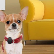 Load image into Gallery viewer, Waterproof Apple Air Tag Holder for Dogs