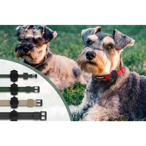 Waterproof Apple Air Tag Holder for Dogs